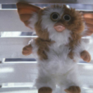 Gremlins film fantastique TF1 Séries Films