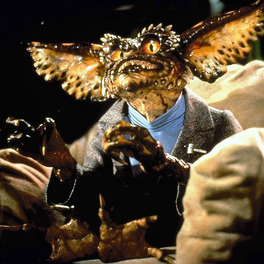 Gremlins 2 - La nouvelle génération film fantastique TF1 Séries Films